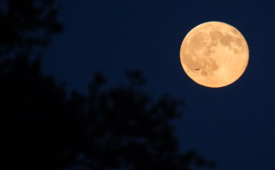 Neste final de semana, os brasileiros e boa parte do mundo poderão ver um fenômeno que acontece regularmente em julho: é a chamada 'Lua do Veado'.