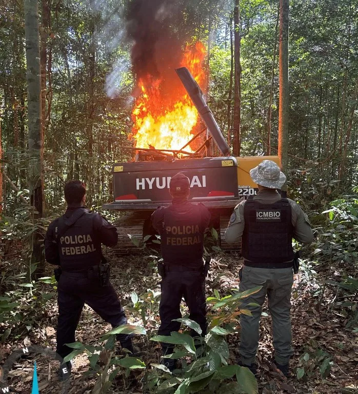 A ação ocorreu entre os dias 19 de junho e 3 de julho, na região de Itaituba

