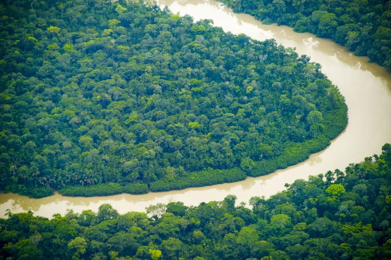 No Dia Nacional de Proteção às Florestas, celebrado neste 17 de julho, o Pará se destaca como pioneiro na construção do Plano de Recuperação da Vegetação Nativa (PRVN)