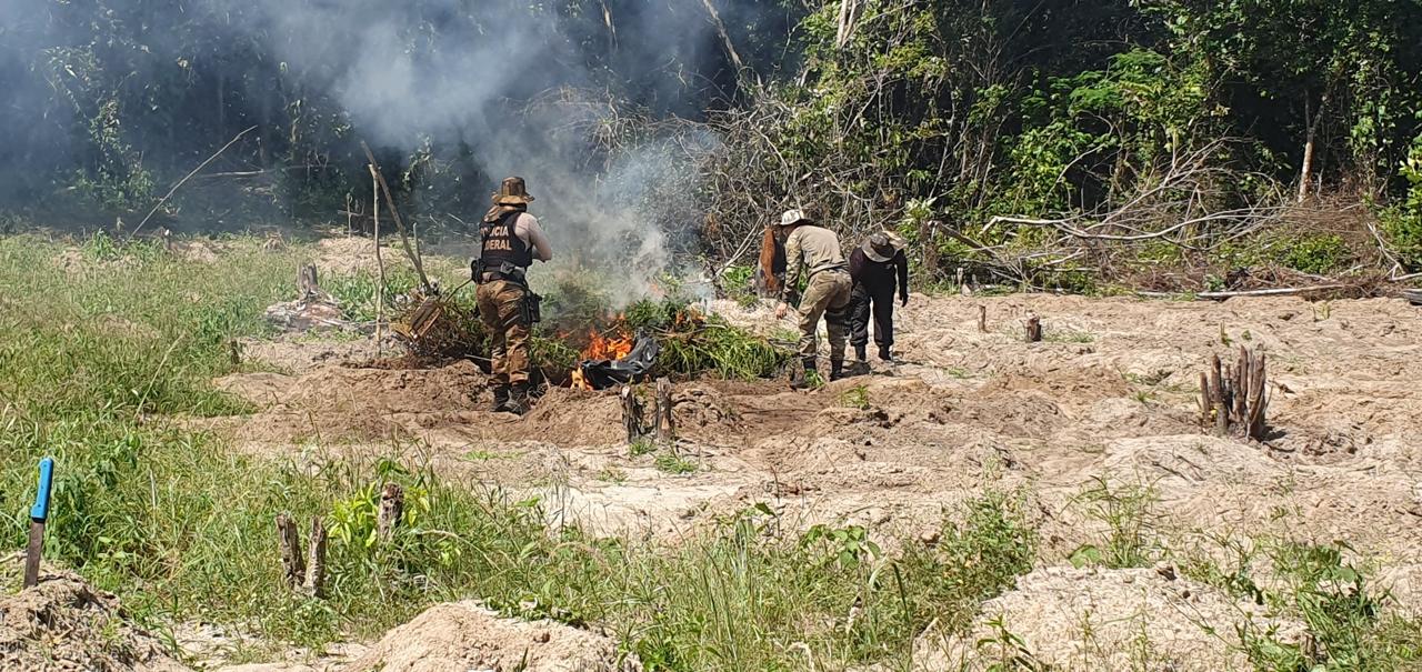 Na chegada da operação, o local estava desocupado, por isso ninguém foi preso. Mas havia acampamentos, estruturas e alimentos