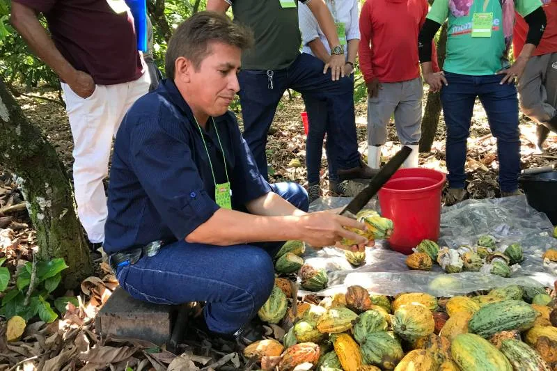 Estratégias são definidas para prevenir a Monilíase no Pará