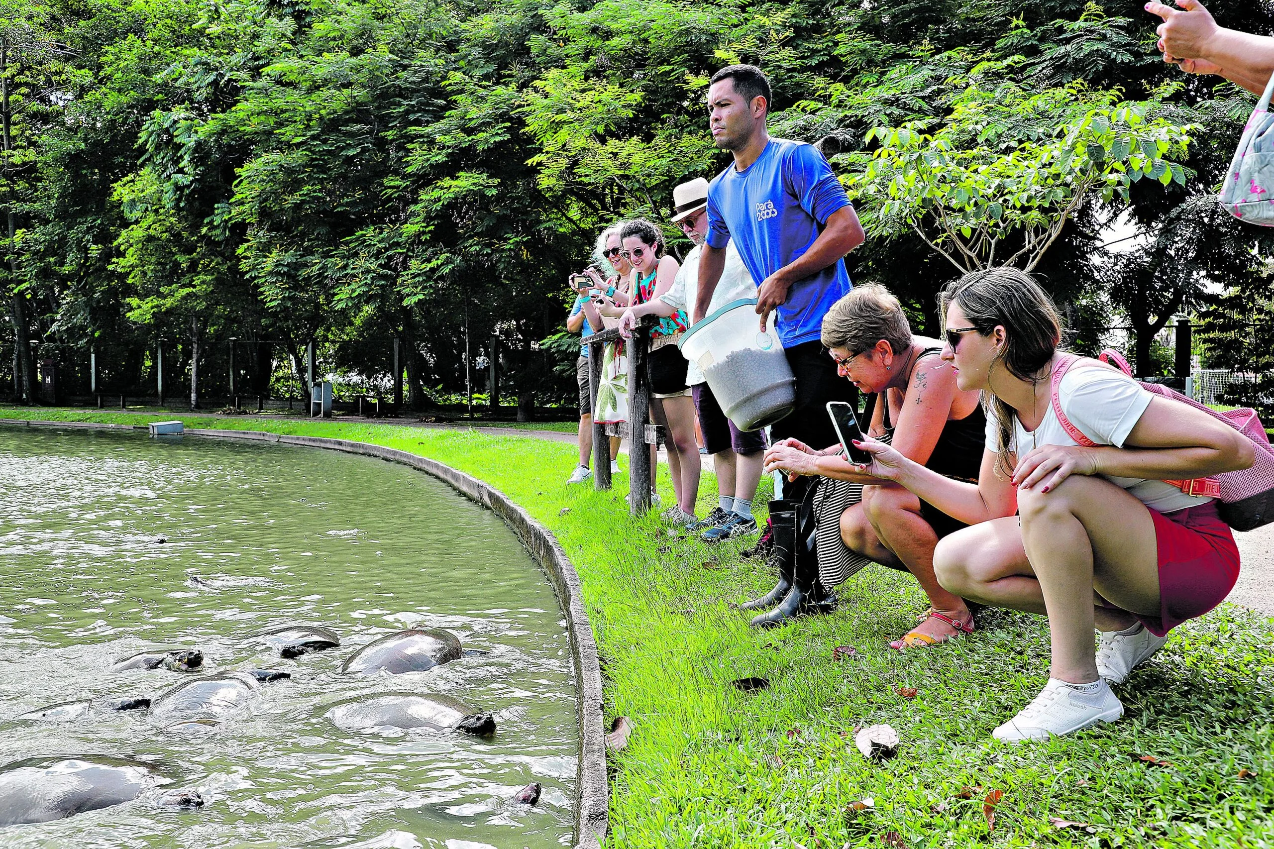  Foto: Mauro Ângelo/ Diário do Pará.