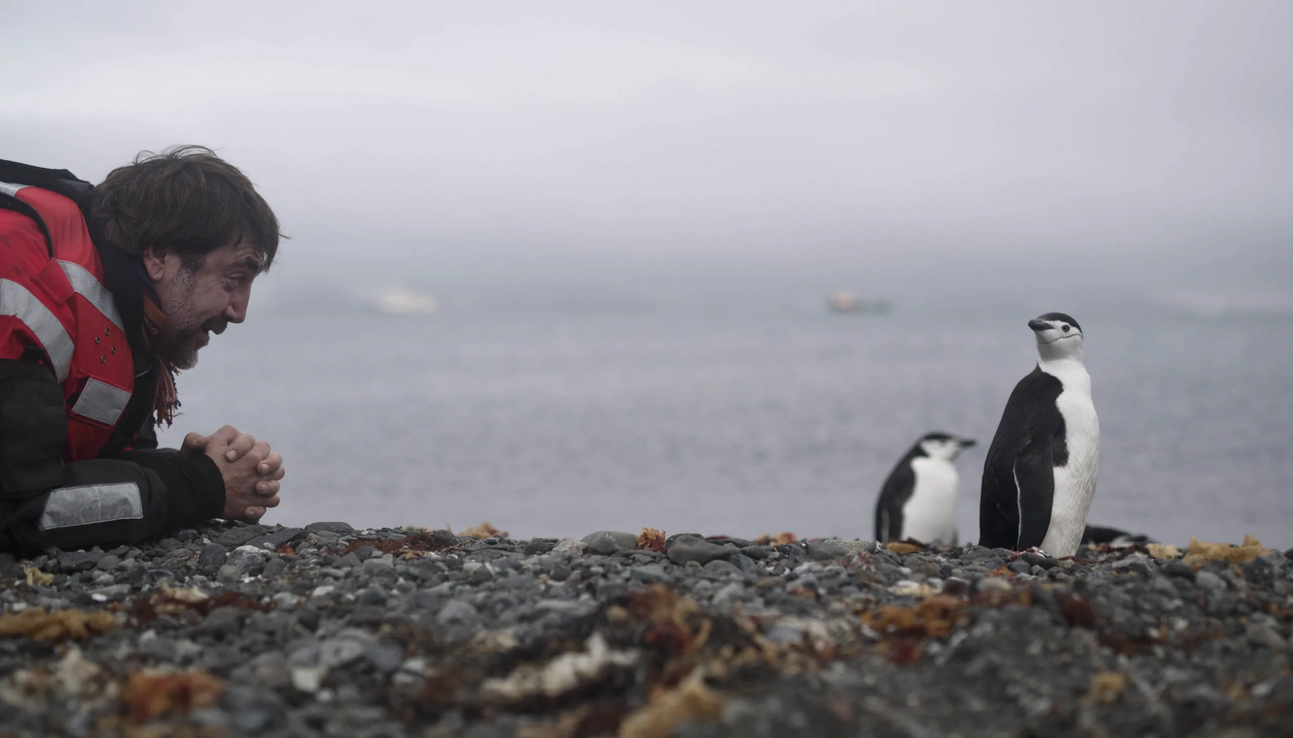 Actor Javier Bardem looking at chinstrap penguins while arriving to King Georg Island in the Antarctic to join Greenpeace ship the Arctic Sunrise in a expedition in support of the largest protected area on Earth, an Antarctic Ocean Sanctuary.