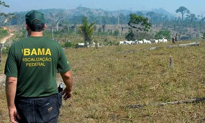 Ao todo, o Ibama oferecerá 260 vagas, para cargos de nível superior, com remuneração inicial de R$ 10.735,32,