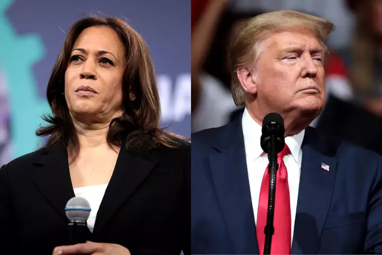 Kamala x Trump disputam a preferência dos norte-americanos. Fotos: Divulgação