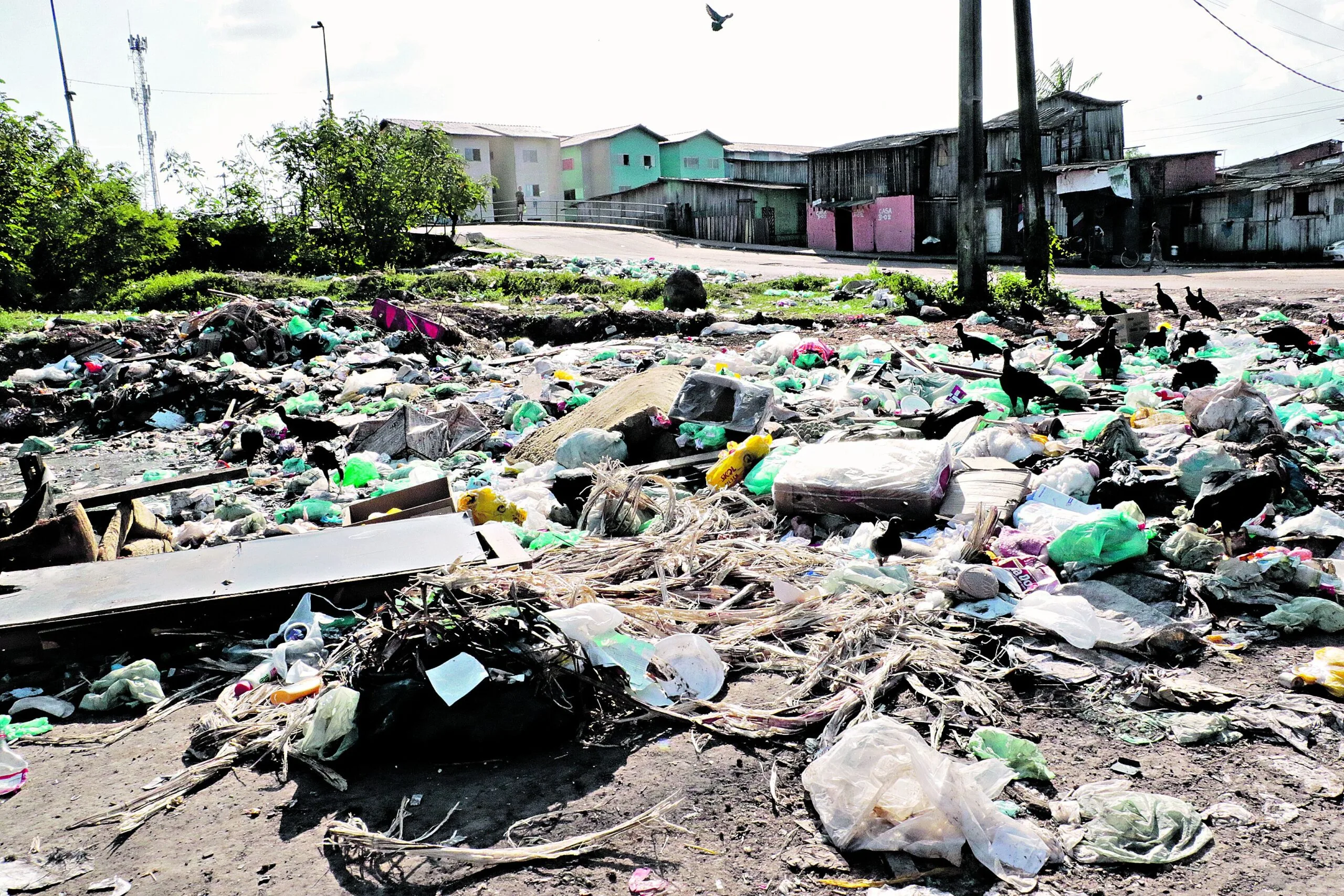 A “revolução” no sistema de limpeza da capital prometido pela Prefeitura no início dos trabalhos da nova empresa, ainda não se concretizou, o que gera reclamação dos moradores de vários bairros