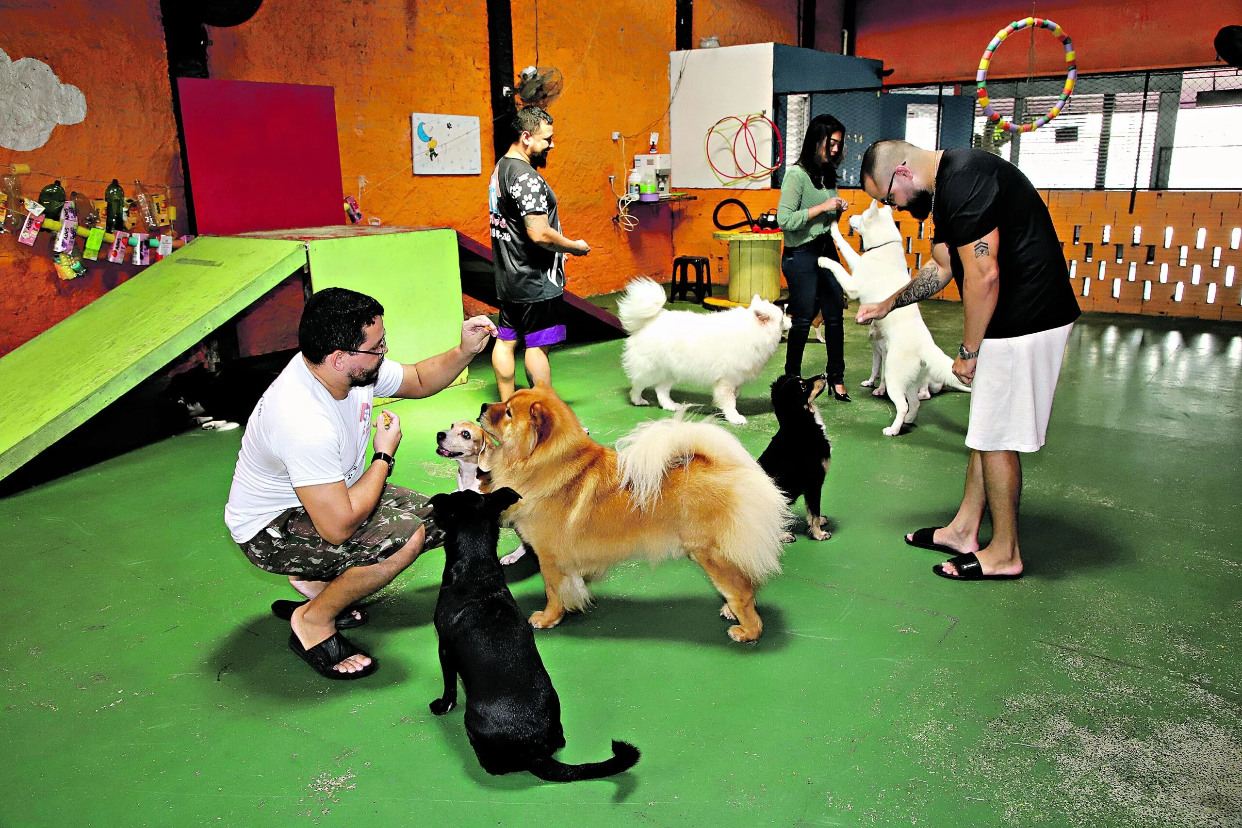 Encontrar um local seguro para deixar o animal de estimação preocupa os tutores, mas hotéis e casas oferecem o serviço com pacote de atividades de lazer e alimentação adequada aos bichinhos Foto: Mauro Ângelo/ Diário do Pará.