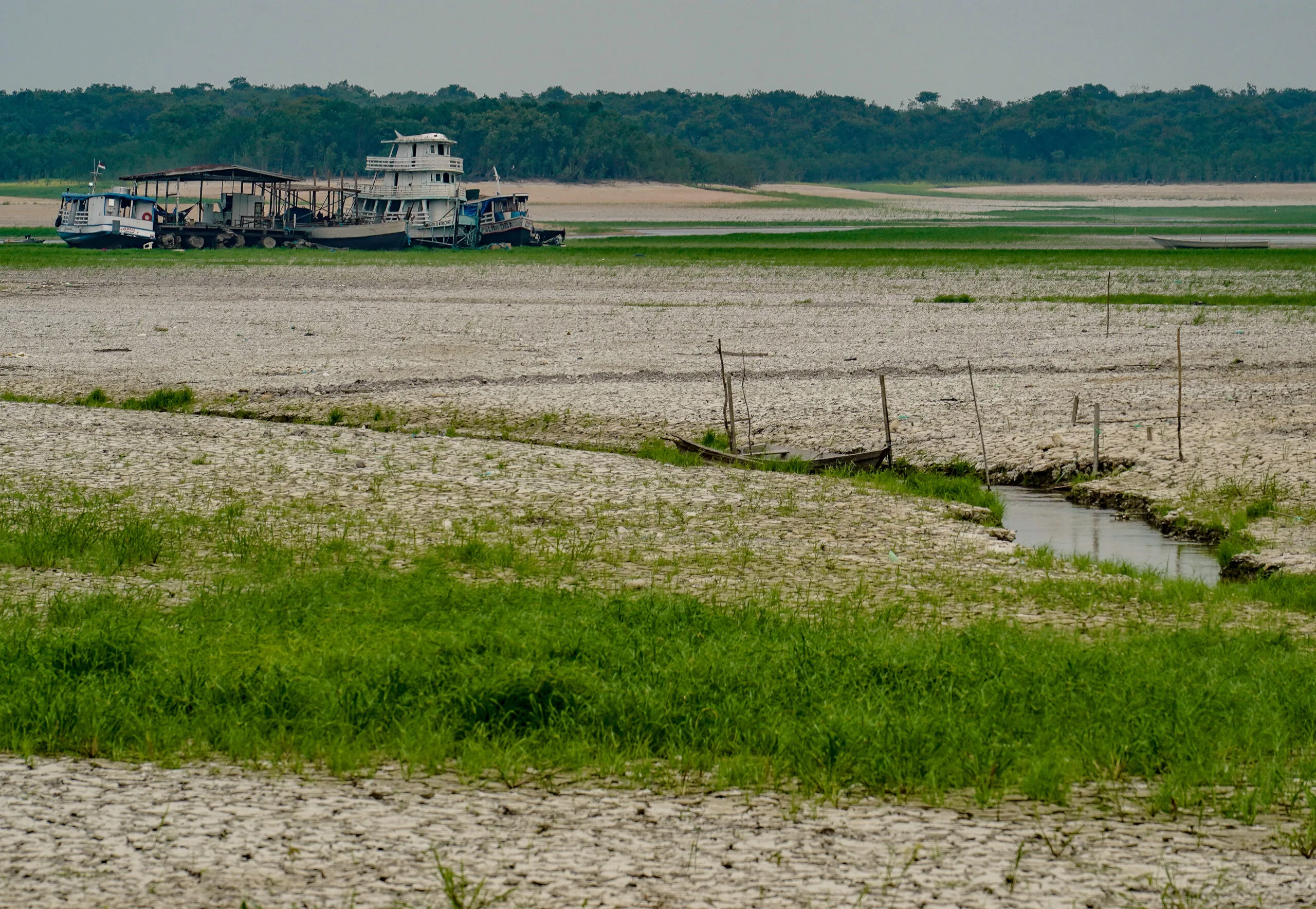 Segundo Carlos Nobre, seca na Amazônia não pode se estender para seis meses, sob risco de se criar um ponto de não-retorno. Foto: Rafa Neddermeyer/Agência Brasil