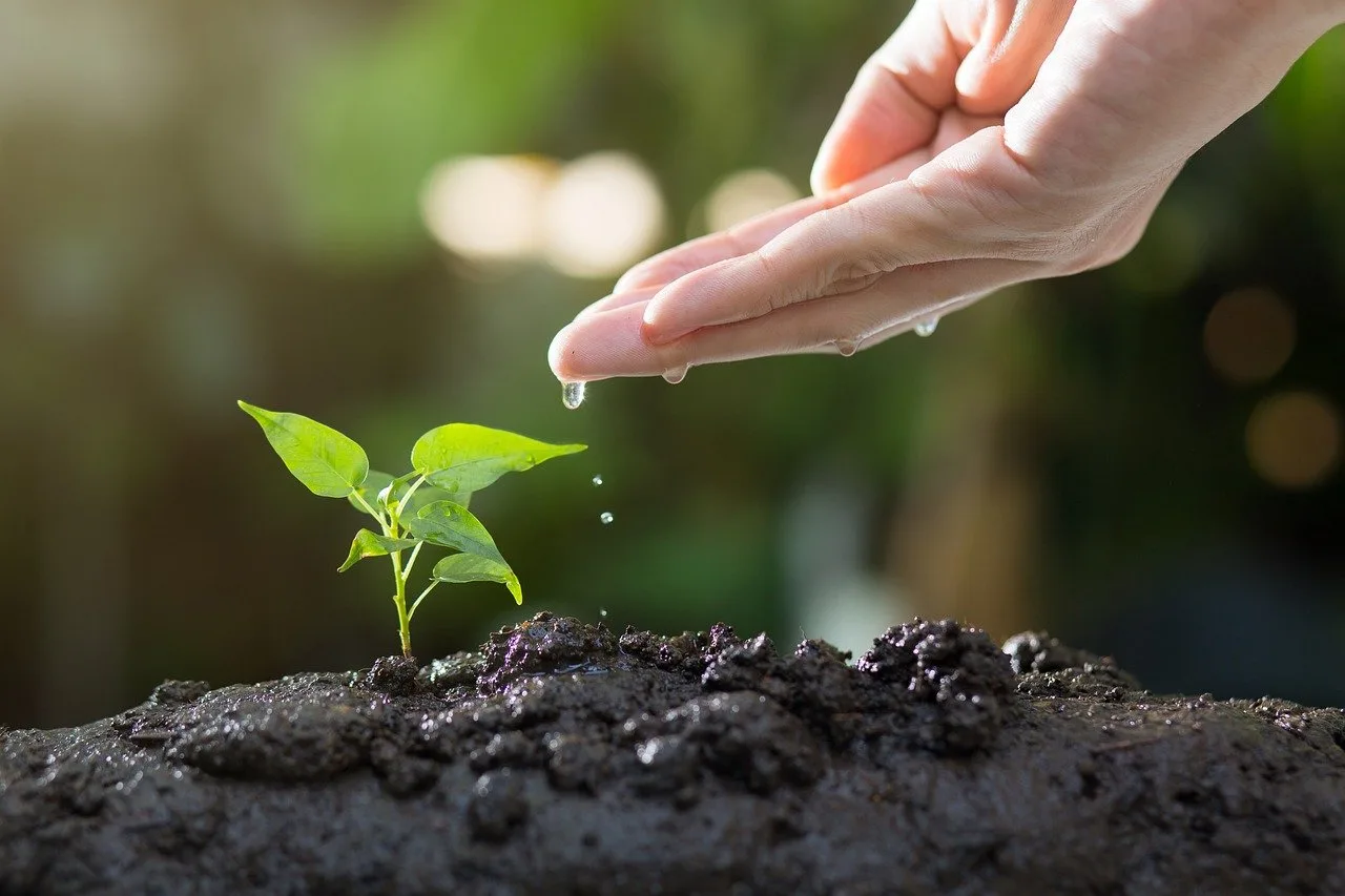 Os agricultores familiares do Pará contrataram, na safra 2023/2024, R$ 1,37 bilhão por meio do Programa Nacional de Fortalecimento da Agricultura Familiar (Pronaf)