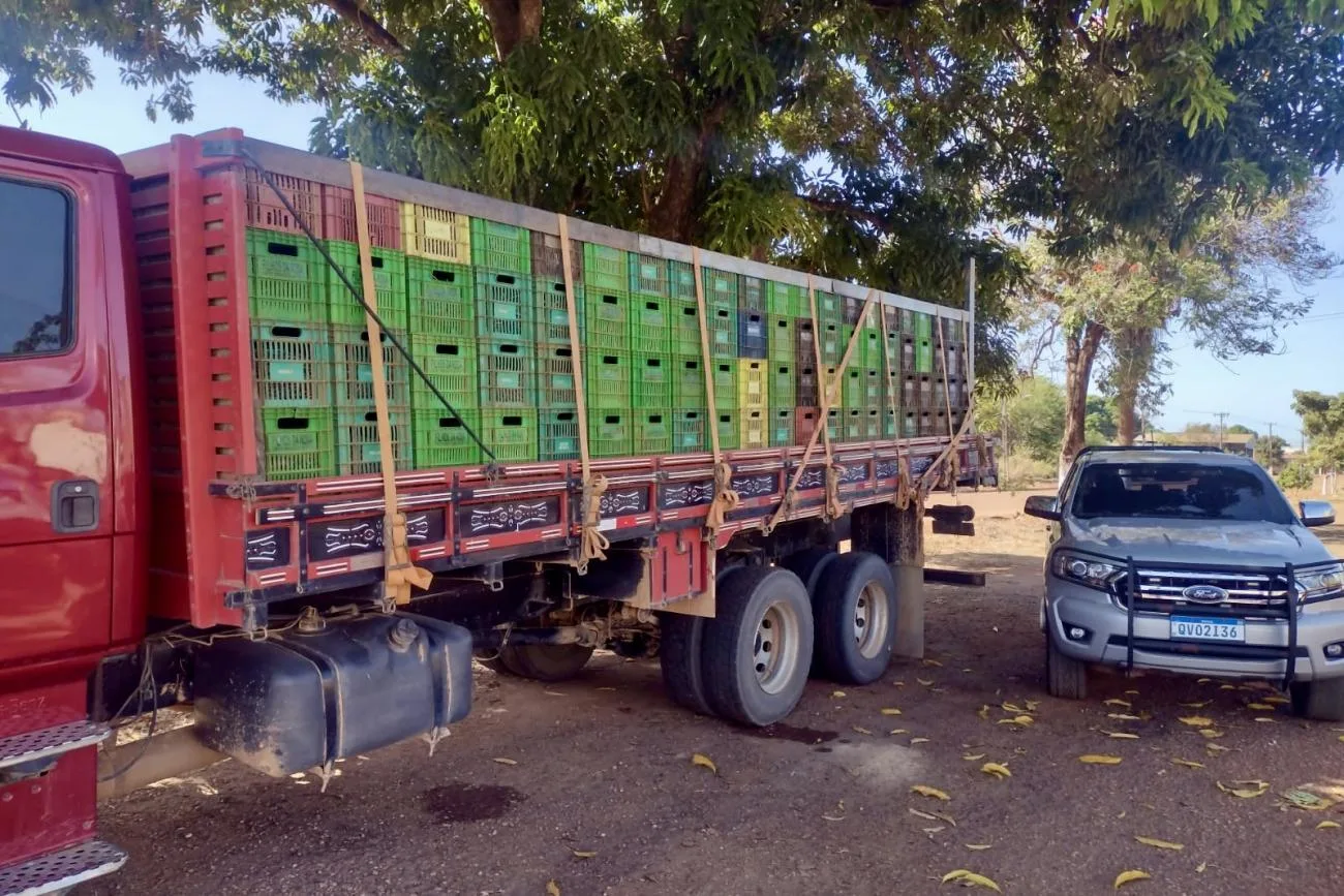 O veículo foi conduzido ao posto fiscal, onde foi levado à balança de pesagem, que confirmou a carga de 11 toneladas.