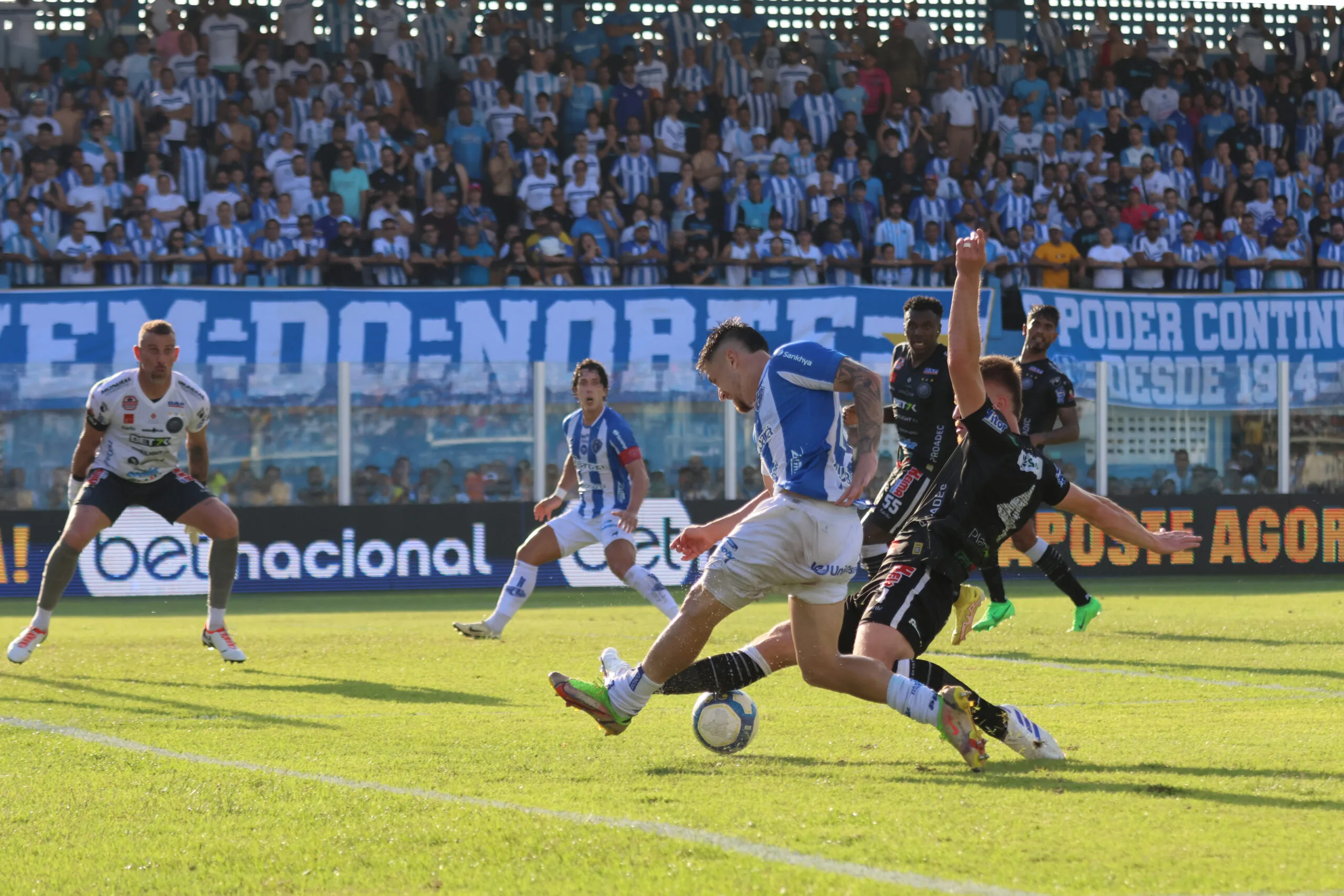 O Paysandu tem 19 jogos para decidir sua vida na Série B. Foto: Wagner Almeida / Doário do Pará.