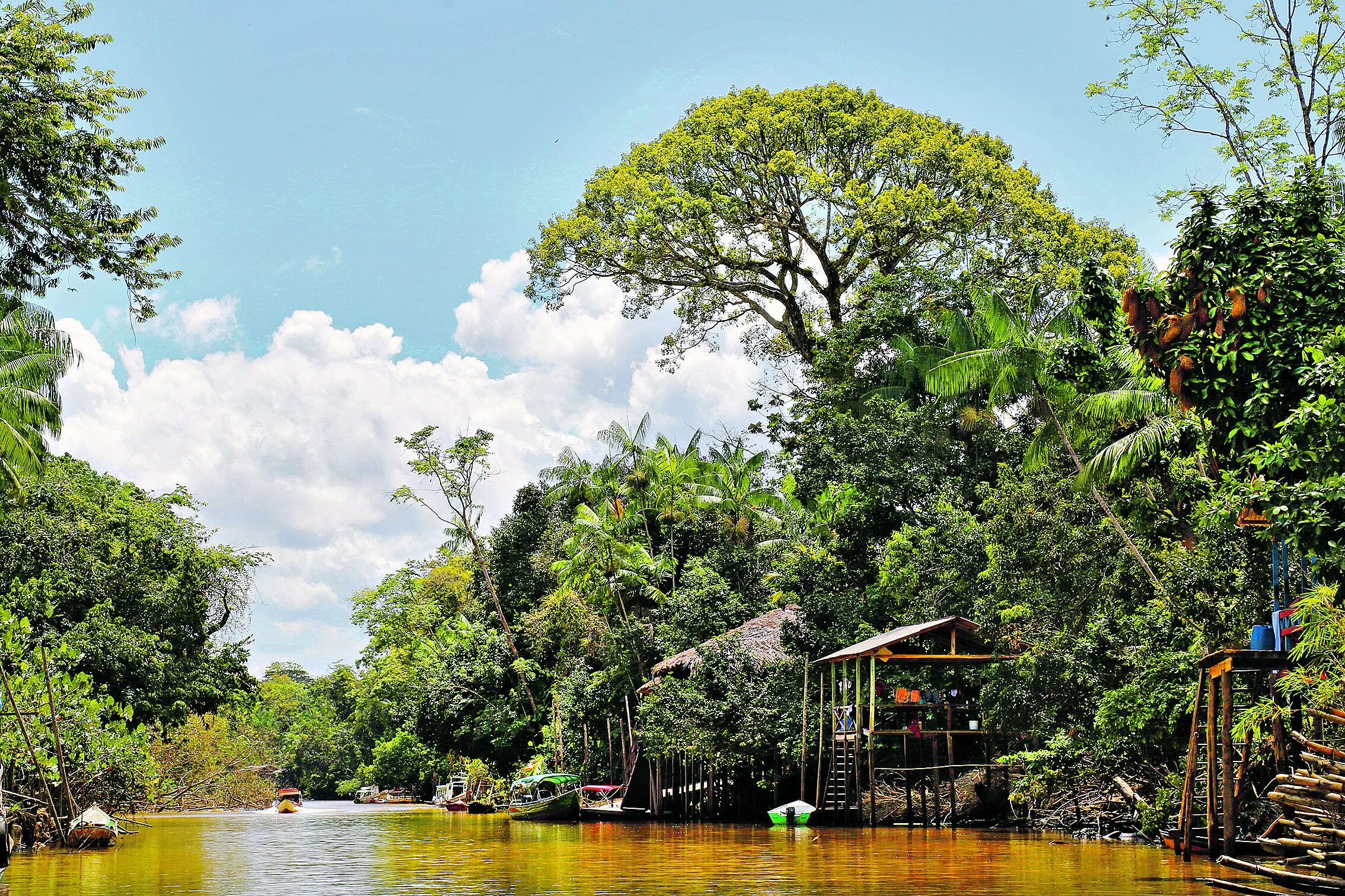 Belém, Pará, Brasil. Ilha do Combú. 24/07/2019. Foto: Octavio Cardoso / Diário do Pará.