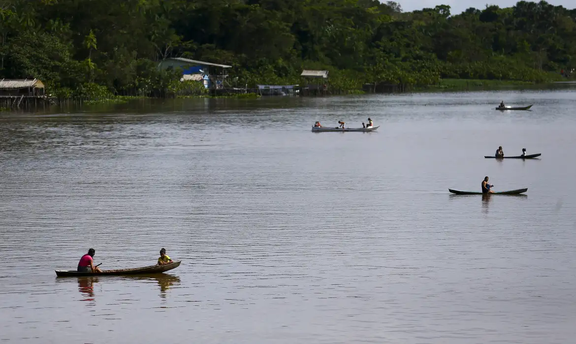 Camarão se torna escasso no oeste do Pará e Marajó