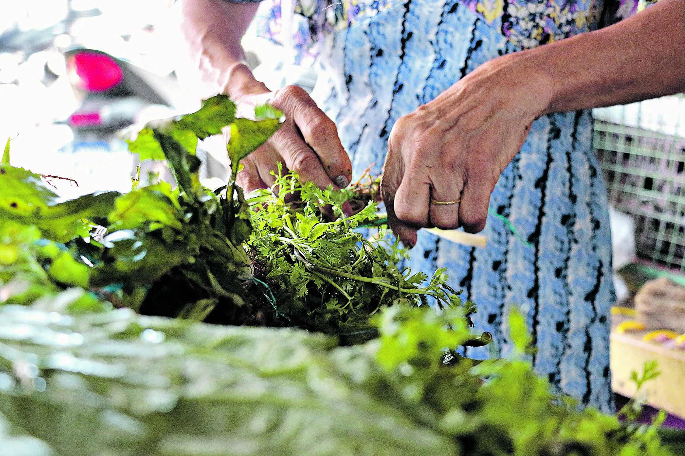 Frutas, legumes e verduras podem ter cascas, folhas, sementes e talos reaproveitados em receitas e temperos, ajudando a evitar o desperdício de comida, problema sério no Brasil. Confira como fazer isso

Frutas, legumes e verduras podem ter cascas, folhas, sementes e talos reaproveitados em receitas e temperos, ajudando a evitar o desperdício de comida, problema sério no Brasil. Confira como fazer isso

. Foto: Mauro Ângelo/ Diário do Pará.