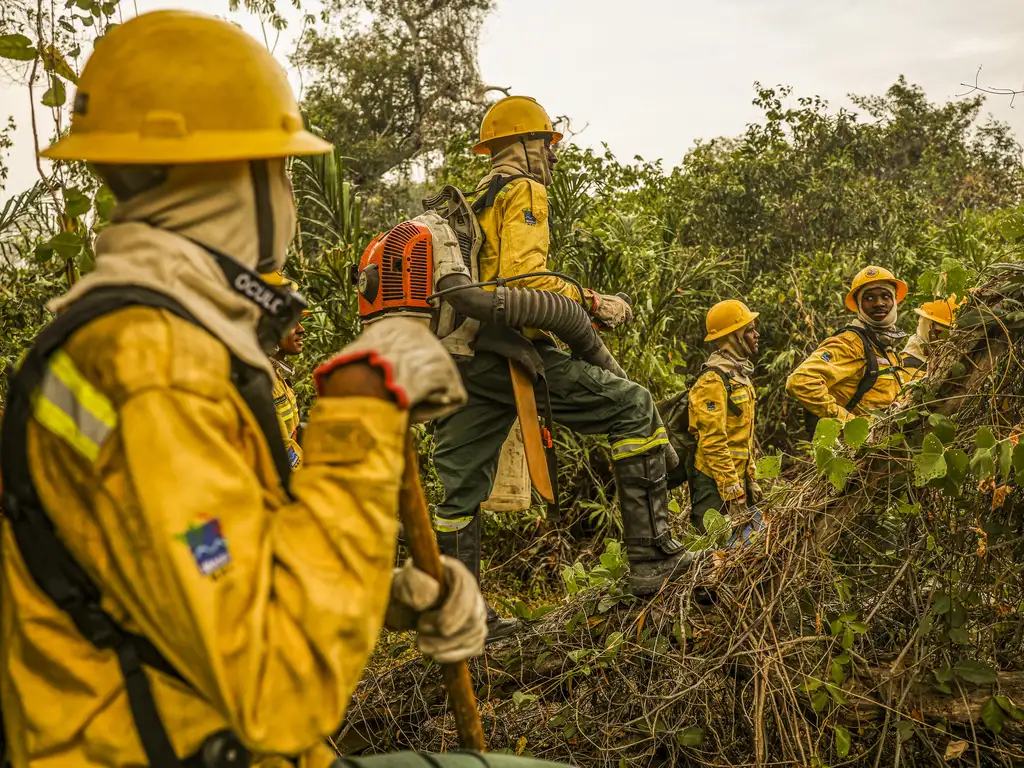 Após quase um ano de negociações, paralisações e greve, os servidores ambientais, do Ibama e ICMBio, e o governo federal entraram em acordo