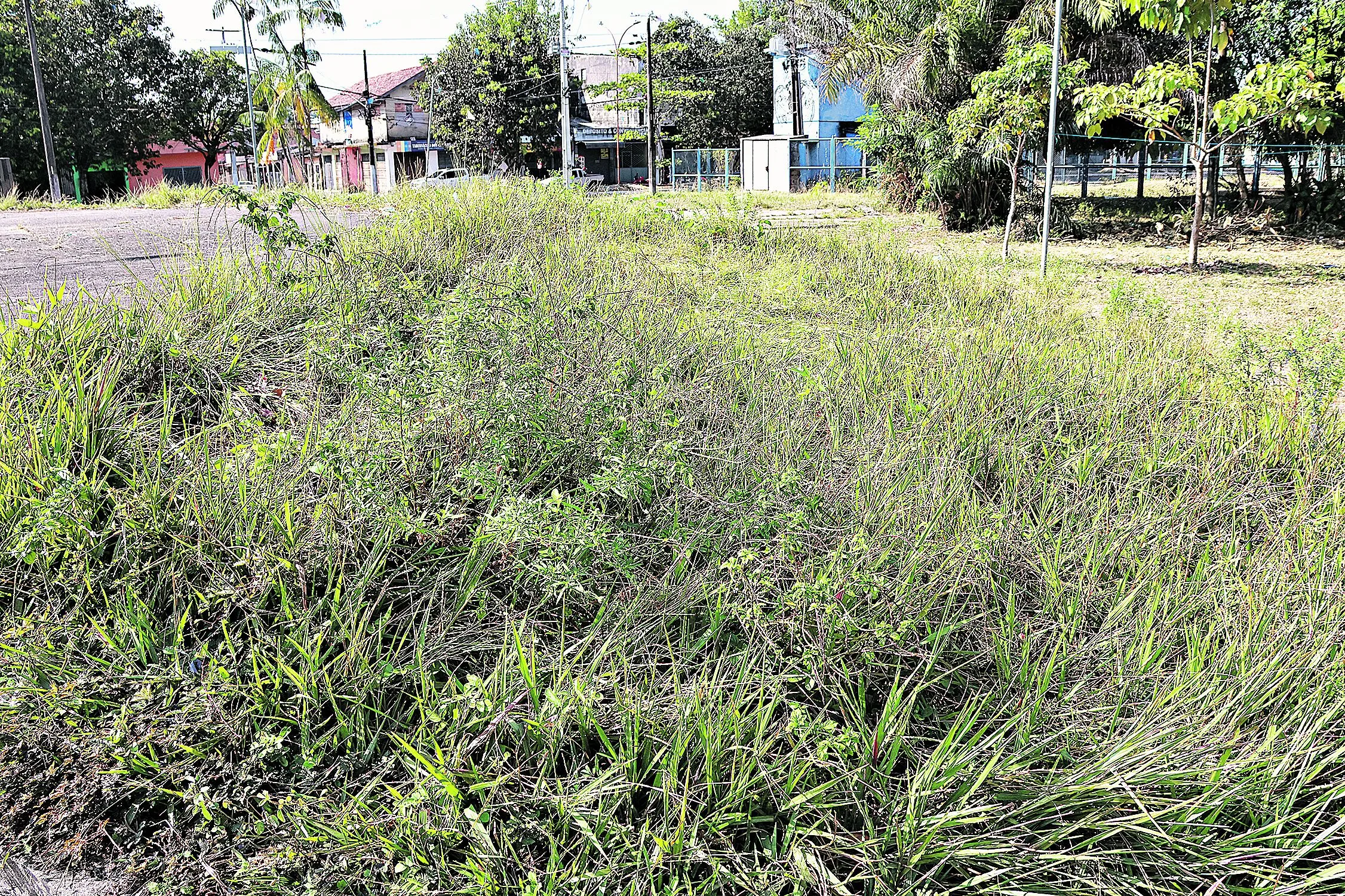 Um lugar que deveria servir de lazer para as famílias, a praça Marajó, no conjunto CDP, também conhecido como Paraíso dos Pássaros, no bairro Maracangalha, em Belém, enfrenta um cenário de abandono